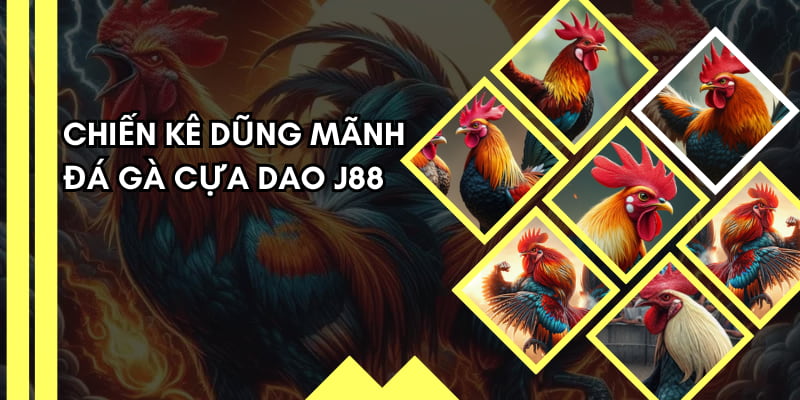 Chọi kê cựa dao mang lại trải nghiệm kịch tính, hồi hộp